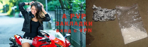 ГАЛЛЮЦИНОГЕННЫЕ ГРИБЫ Беломорск