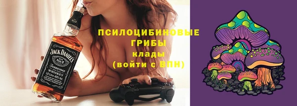 стафф Ростов