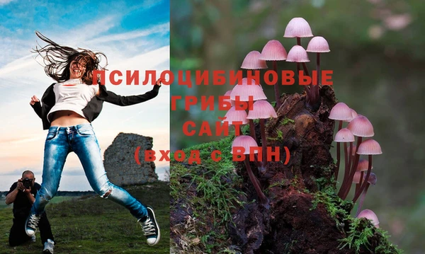 спайс Белоозёрский