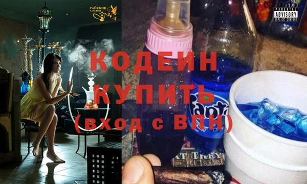 стафф Ростов