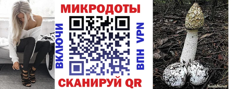 Галлюциногенные грибы Psilocybe  Белоусово 